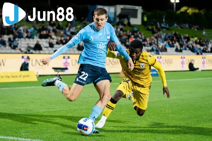 Sydney FC đang được đánh giá cao hơn ở trận đấu này.